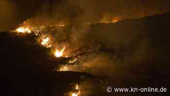 Waldbrände und Extremwetter: Wie ist die Lage in Griechenland, Italien und Algerien?