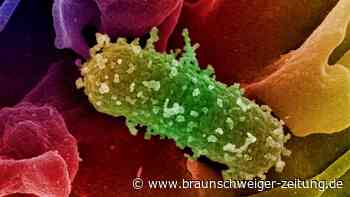 Trinkwasser im Südkreis Gifhorn zur Hälfte wieder freigegeben