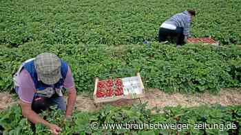 Jeder Vierte verdient weniger als 14 Euro in der Stunde
