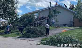 Cleanup underway in Westlock, Alta., after powerful storm tears through town
