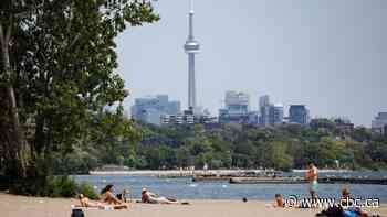 Heat wave in store for Toronto with sweltering conditions expected for much of the week