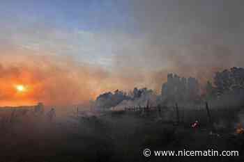 Algérie: encore 11 foyers actifs, la majorité des incendies éteints