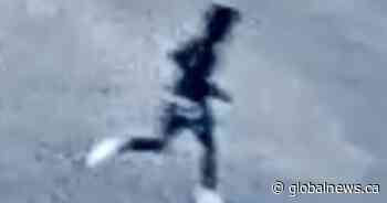 Police appealing for information in connection with Brampton homicide