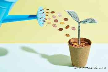 Best 6-Month CD Rates for July 2023     - CNET