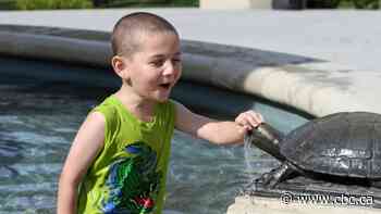 Hamilton heat warning starts Wednesday, expected to last until Friday