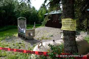 Traps Removed After No Sign of the Grizzly That Killed a Woman Near Yellowstone