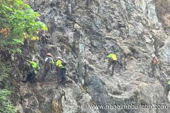 High winds once again force closure of Highway 4 east of Port Alberni