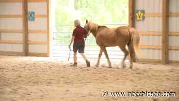 Therapeutic equestrian center reopens more than 2 years after devastating roof collapse