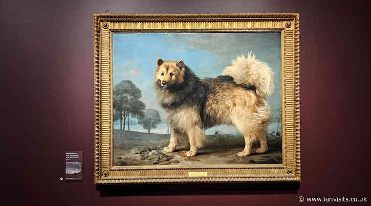 A mixed bag of doggy portraits at the Wallace Collection