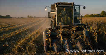 Senate Targets China, Voting to Restrict Farmland Purchases and U.S. Investment