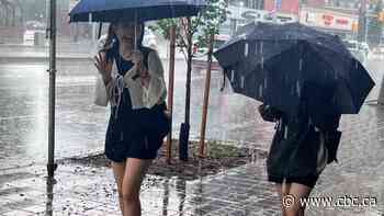 More rain expected this week after southern Manitoba drenched on Tuesday