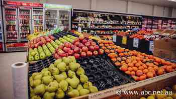 Live: Inflation falls to 6pc as interest rate hikes slow demand, IMF warns of economic challenges, US stocks rise