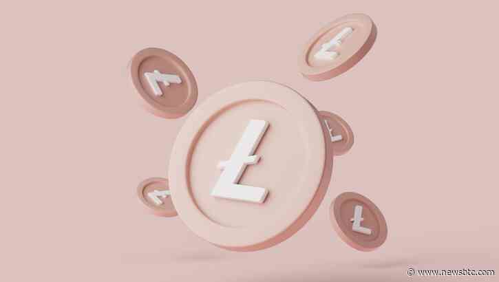 Binance Pool’s Litecoin Hash Rate Falls 50%: What’s Next?