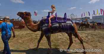 Music, motocross, animals and rides highlight the Lake County Fair July 26-30