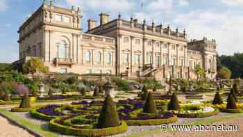 Two men found the oldest bottles of rum in the world. They decided to do a taste test