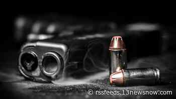 Hampton man gets 2.5 years in prison for illegally selling firearms