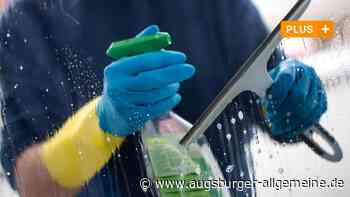 Wie oft sollen die Fenster von Ulmer Schulen geputzt werden?