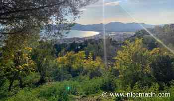 Pas de vigilance canicule, un grand ciel bleu et jusqu'à 31°C ressentis ce mercredi