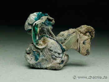 Künstliche Gesteine aus Makroplastik bedrohen Gesundheit der Meere