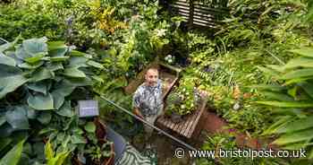 Bristol man turned tiny concrete square into courtyard oasis award-winning garden