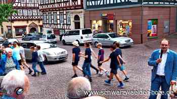 Bürgerforum Calw: Seilbahn auf den Wimberg? „So etwas ist umsetzbar“