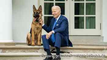 Bisse im Weißen Haus: Biden hat ein Hunde-Problem