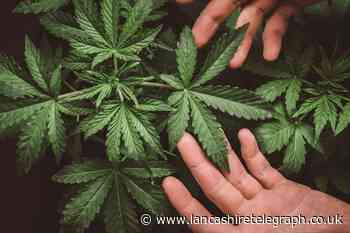 Ramsbottom: Two men sentenced for role at cannabis farm