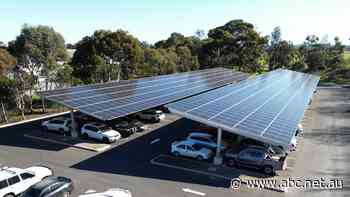 Largest winery solar panel system in Australia switches on in the Barossa Valley