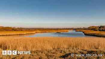 Titchfield Haven nature reserve plans unviable, says council