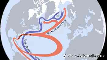 The real-life Day After Tomorrow: The Gulf Stream could COLLAPSE at 'any time' from 2025 thanks to climate change - plunging Europe into a deep freeze, warn scientists