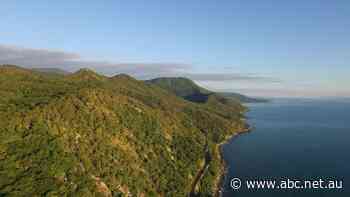 Work finally begins on delayed 94km trail through World Heritage rainforest in Far North Queensland