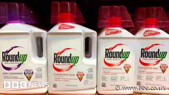 Bayer: Weedkiller maker to take $2.8bn hit as sales fall