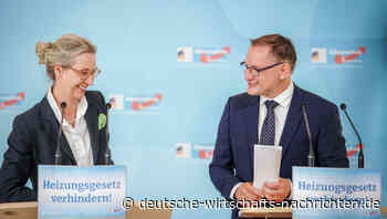 AfD trifft sich in Magdeburg: Umfragehoch und Wagenknecht-Risiko