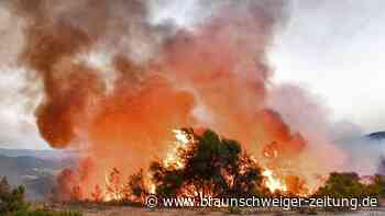 Feuer in Europa: Situation in Italien spitzt sich weiter zu