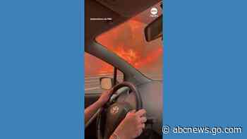 WATCH:  Harrowing scenes as drivers flee Sicily wildfires