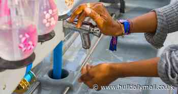 More than a fifth of festival-goers will not wash their hands for the entire festival