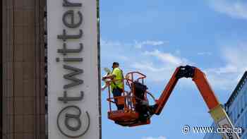 Twitter was a 'Holy Grail' of branding. Then Elon Musk ditched it. Experts question why