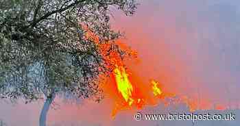 Consumer experts warn travellers worried about Euro heatwave about worst thing they can do