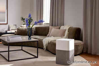 Why are air purifiers essential for DIY?