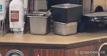 What a pest: Viral mouse video closes a Tim Hortons in Ontario