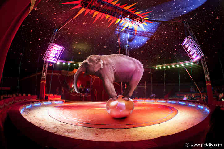 The Daily Scoop: How Cirque du Soleil is trying to clown around with Gen Z