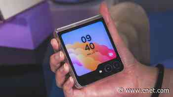 Samsung Galaxy Z Flip 5 vs. Motorola Razr Plus     - CNET