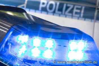 Phantombild erstellt nach Betrug an Steinhagenerin