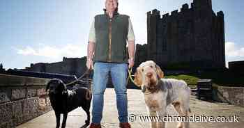 Bamburgh Castle launches dog-sitting service while visitors explore Northumberland fortress