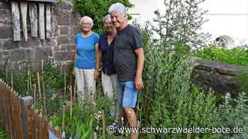 Im Altensteiger Schlosshof: „Kräutergärtle“ spannt Bogen bis ins Mittelalter