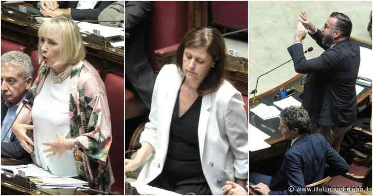 Maternità surrogata, centrosinistra sbriciolato su un emendamento di Magi. Il Pd esce. Tra i contrari la verde Zanella: applausi da destra