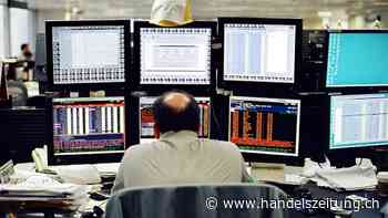 Das Hobby zum Beruf gemacht