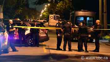 Man shot by Toronto cops after allegedly killing police dog, firing at officers: SIU