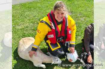 Close shave for sheep after rescue by Hoylake hovercraft crew
