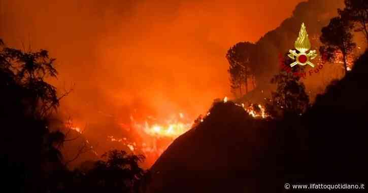 Incendi in Sicilia, i vescovi dell’isola contro i piromani: “Tre anziani uccisi da mani diaboliche senza cuore e coscienza”